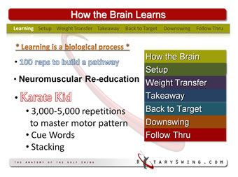 RotarySwing Learning System is step by step